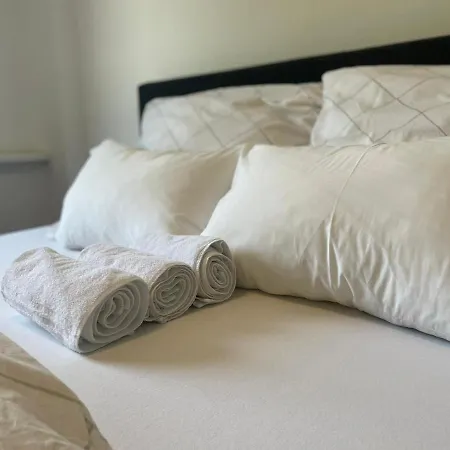 Linz Central Apartment מלון *