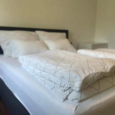 Linz Central Apartment Hotel *